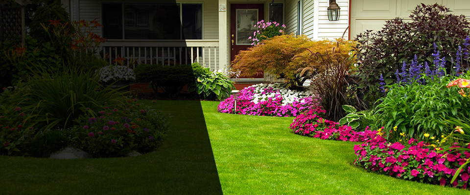 Warrenton Landscapers